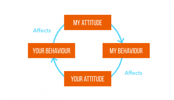 the betari box linking attitude and behavior